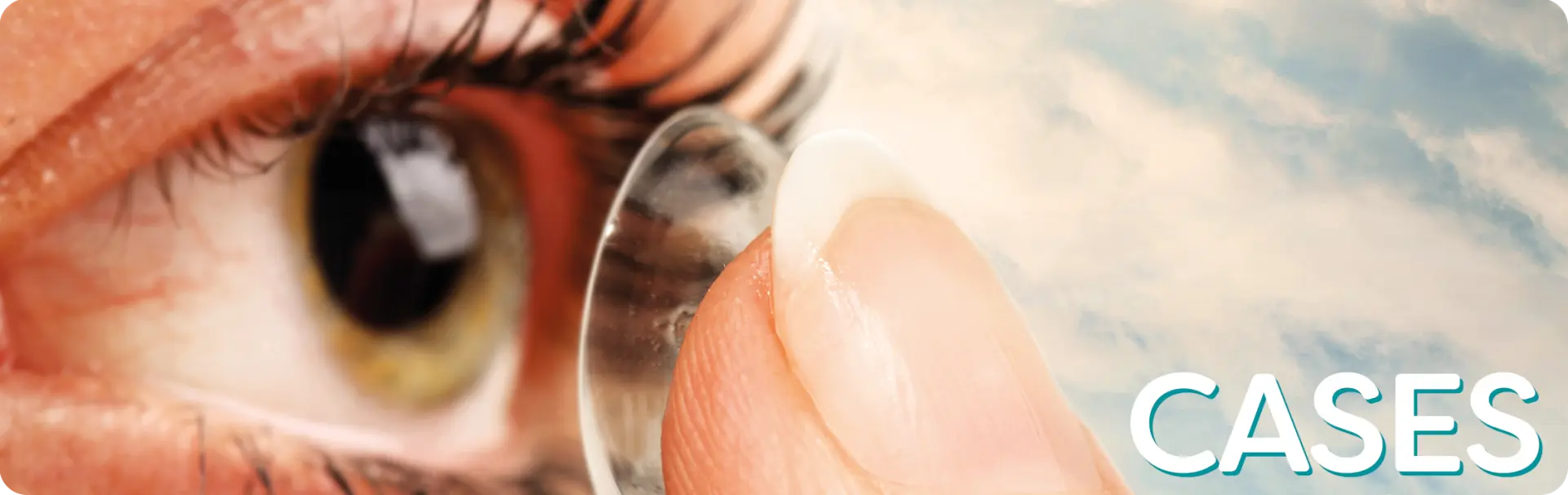 De realisaties van ons team : Jouw servicepartner in Marketing, Sales en Strategie met een uniek oog voor klantperceptie.