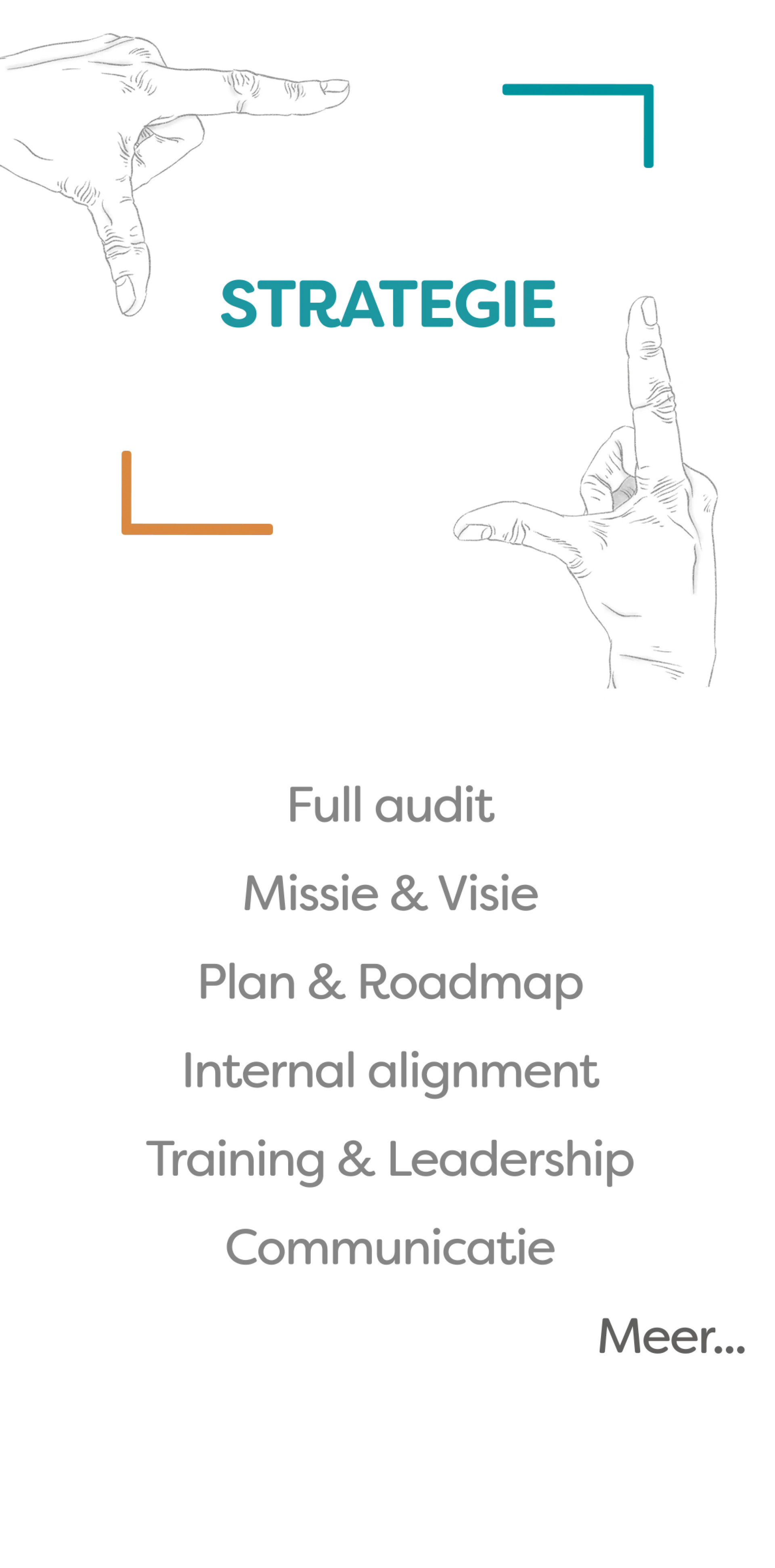 Diensten Strategie : Full audit, Missie, Visie, Trainings, Leadership