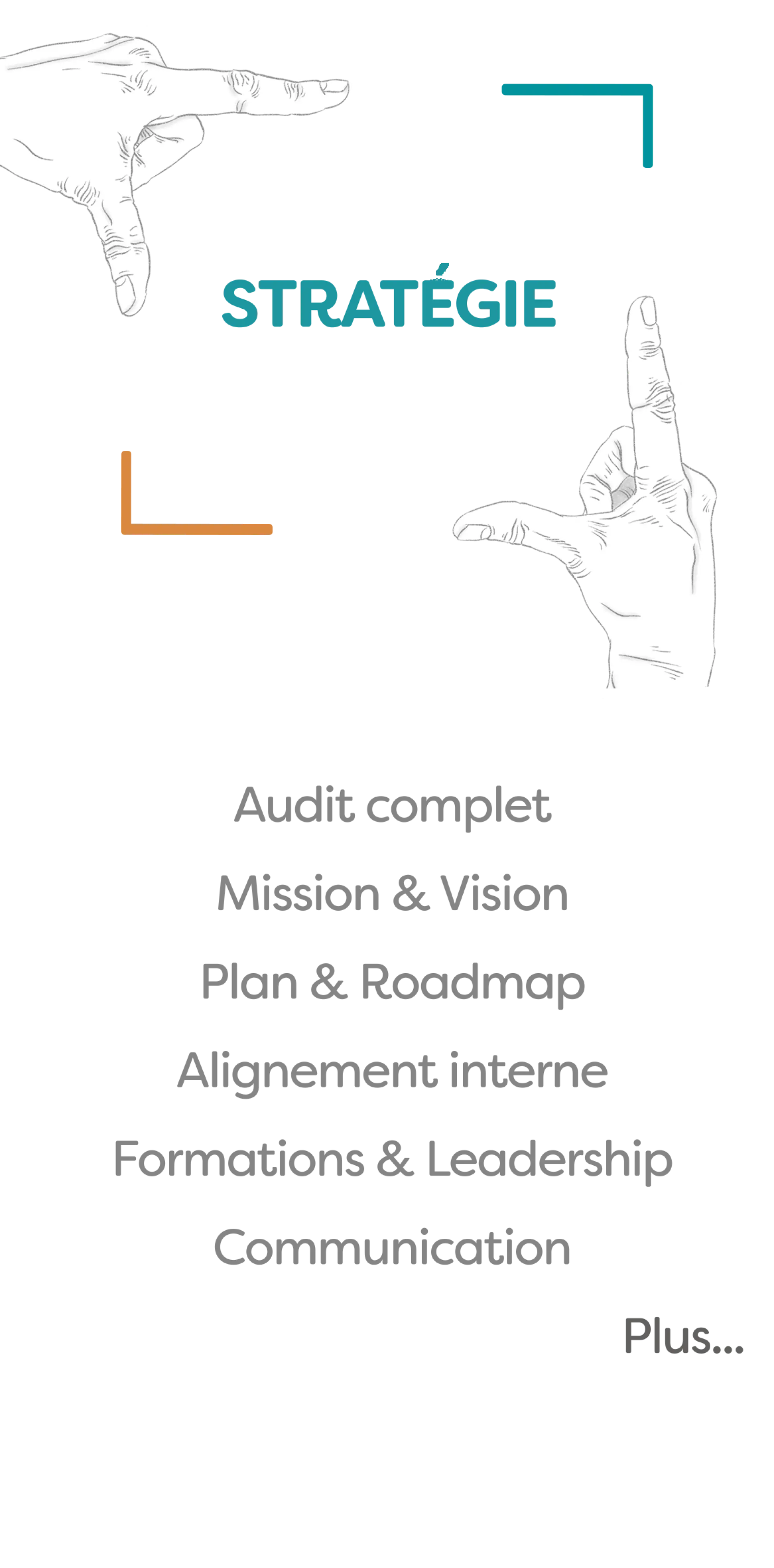 Services Stratégie : Full Audit, Mission, Vision, Formations, Leadership