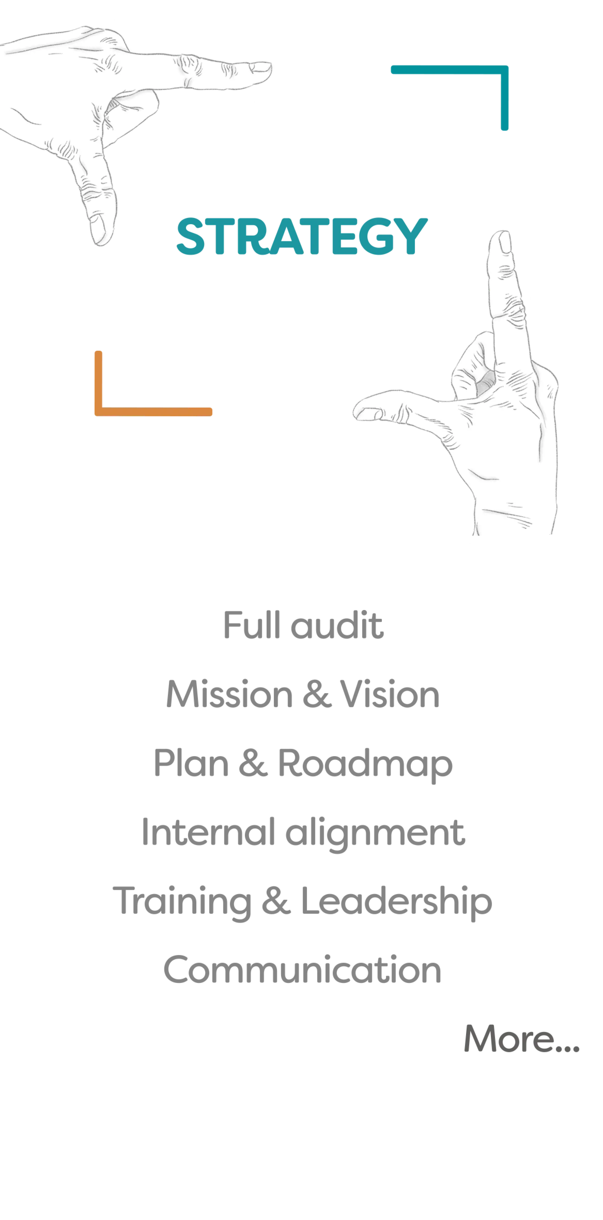 Strategy services : Full audit, Vision, Mission, Leadership. Project-based or As-a-service